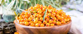 Фото Облепиха очищенная замороженная 12,5 кг