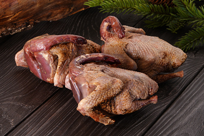 Превью Дикий вяхирь