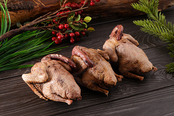 Фото Дикий вяхирь