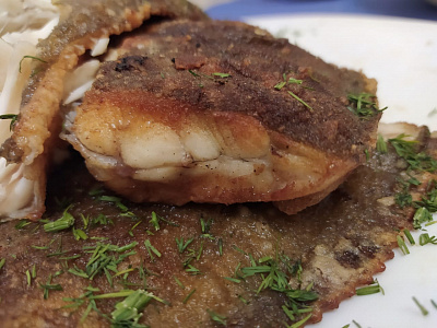 Превью Камбала белобрюхая потрошеная без головы