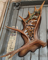 Рог лося с охотником и тигром