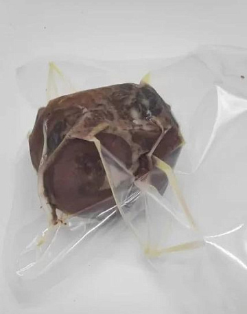 Фото Рулет из пашины коня