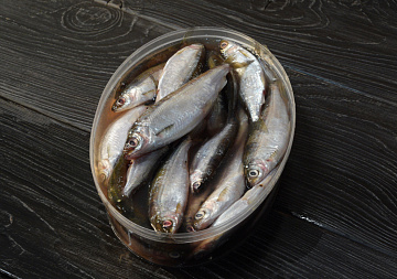 Фото Тугунок соленомороженный 0,6 - 0,7 кг