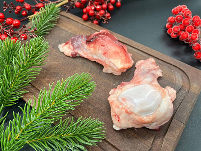 Превью Коленная чашечка медведя 