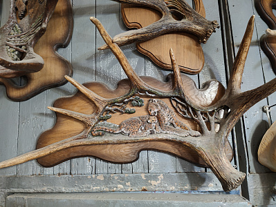 Превью Рог лося леопард с детёнышем