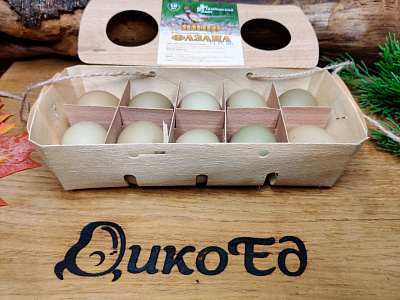 Превью Яйцо фазана