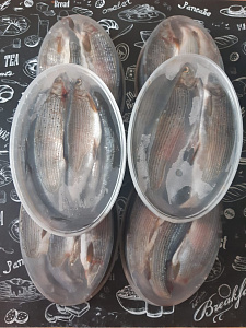 Превью Хариус солёномороженный