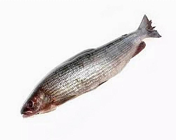 Фото Хариус солёномороженный