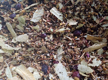 Фото Травяной чай № 5 ТМ Дикоед