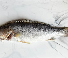 Окунь морской японский (Сузуки) потрошеный с головой  450-550гр 