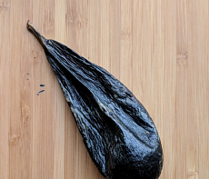 Желчь медведя вяленая (110-130гр)