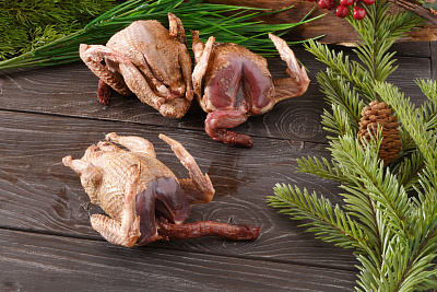 Превью Дикий вяхирь